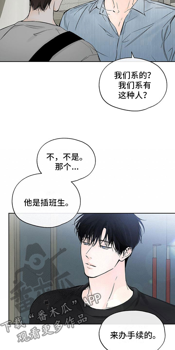 水平落下 - 路上遇见 - 第21页