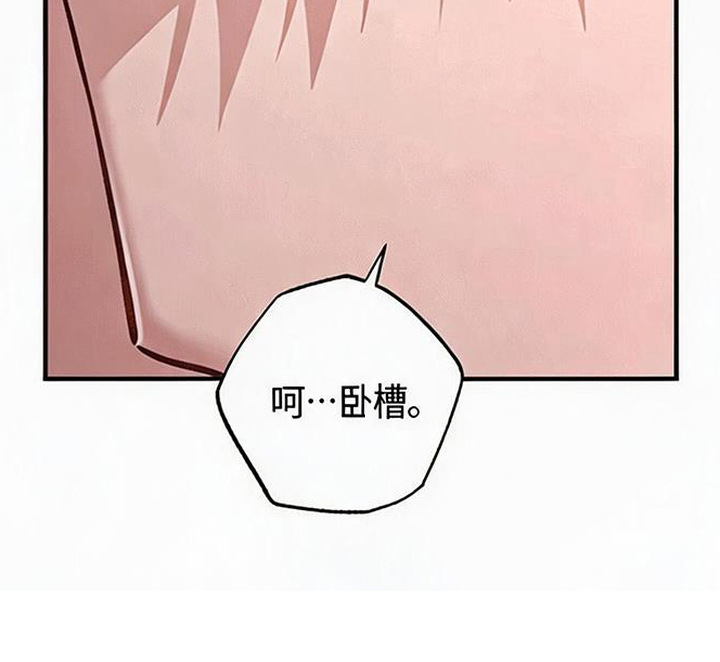 星光狼影 - 被冤枉 - 第31页