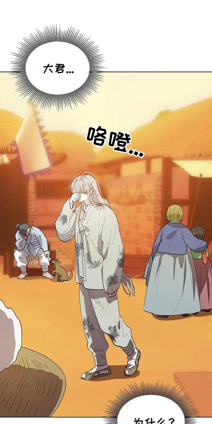 朔月辟邪 - 大君 - 第17页