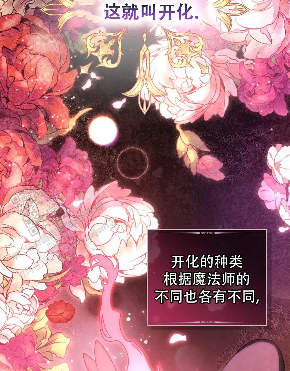 转世魔法师 - 开化 - 第5页
