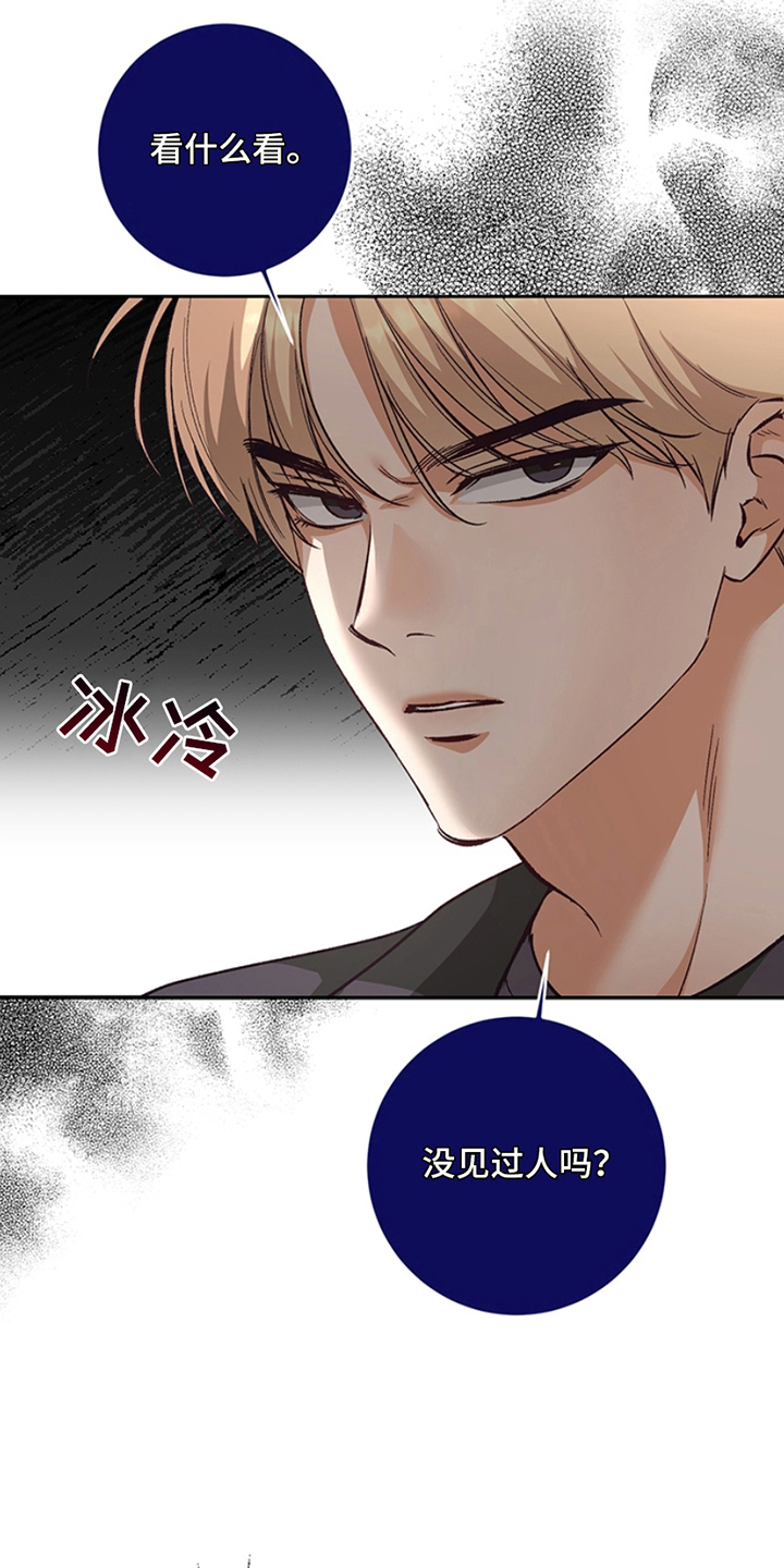 蒲公英观察日 - 产生交集 - 第23页