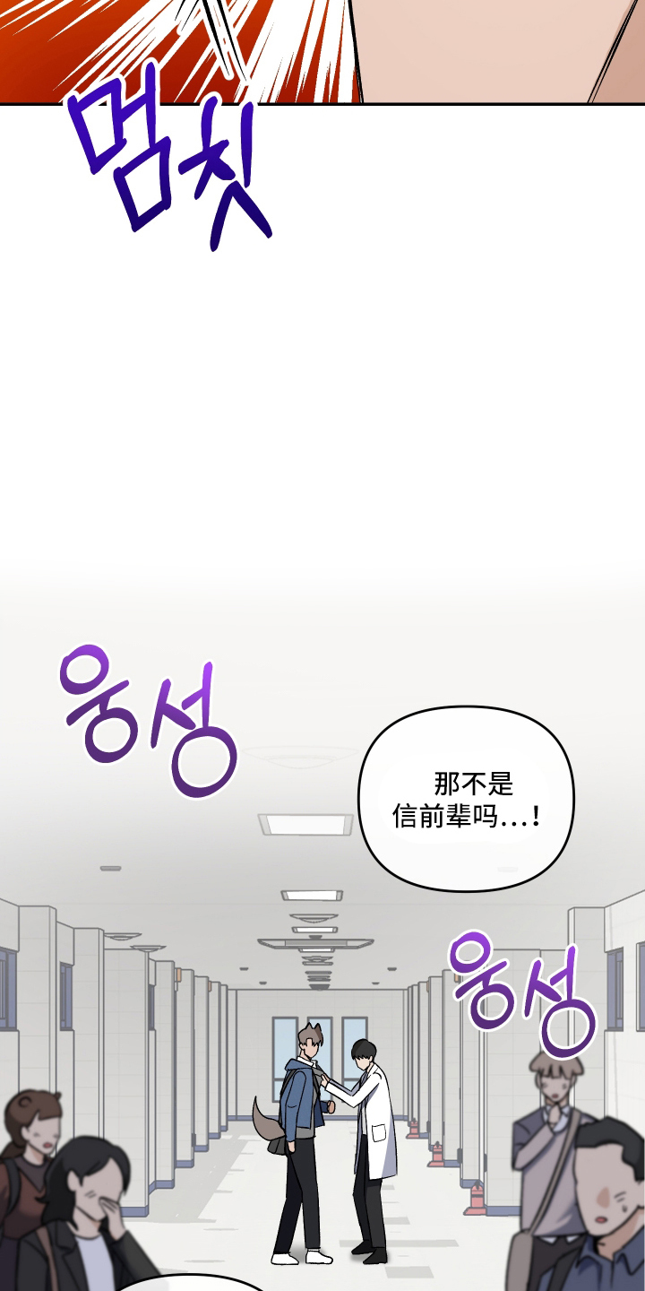 研究对象是哥哥 - 吻痕 - 第12页