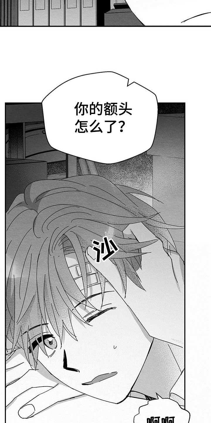 白鳞 - 小盒子 - 第18页