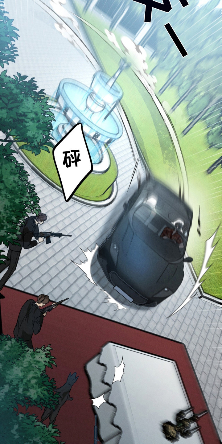 致命伪装 - 收尾款 - 第12页