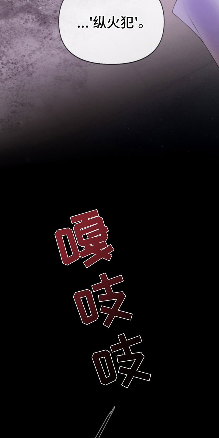 危险交易 - 纵火犯 - 第21页