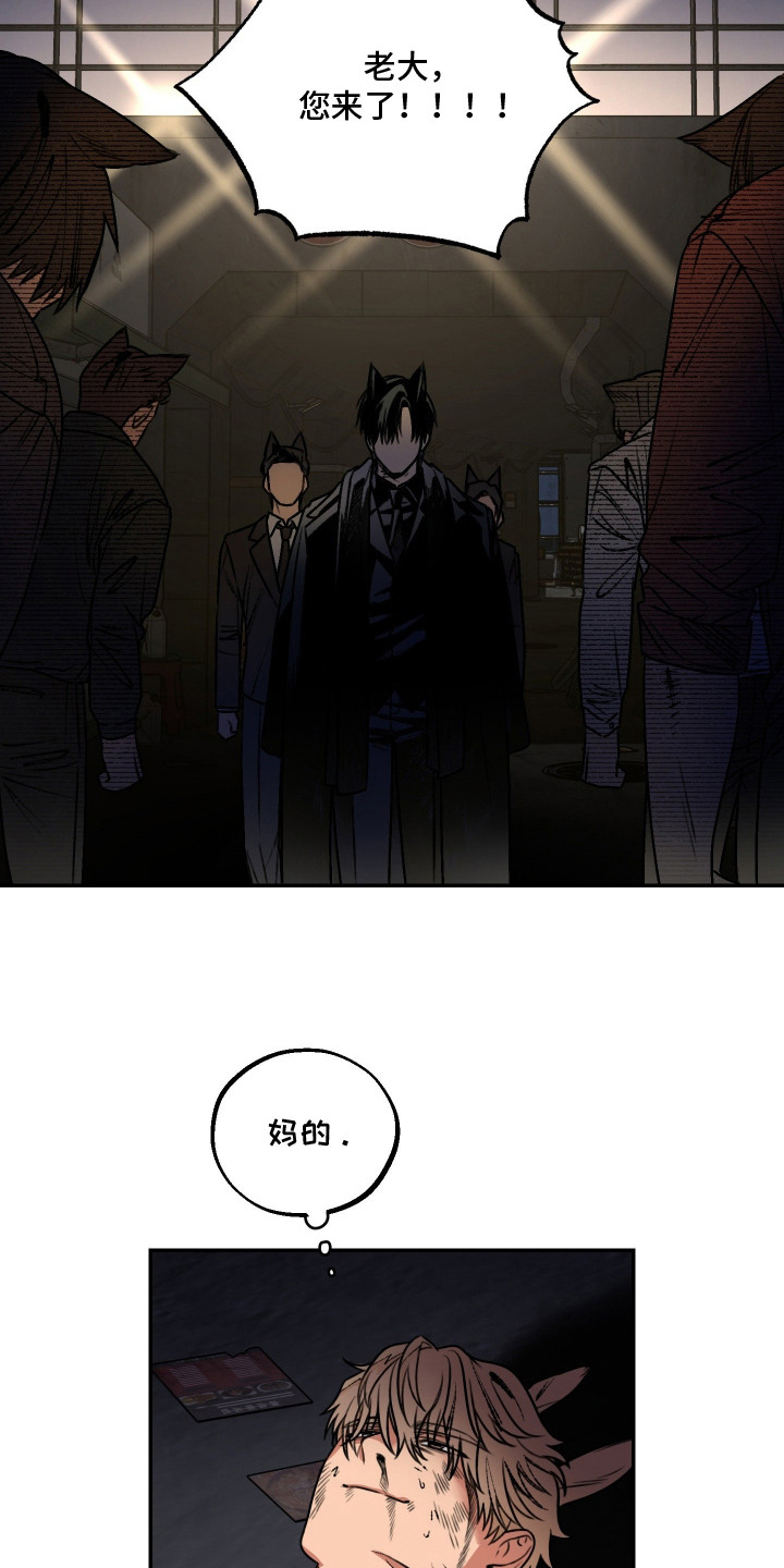 兔入狐窝 - 卑鄙 - 第19页