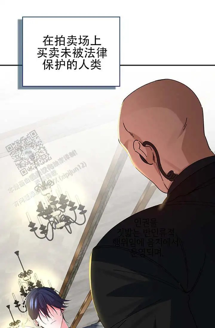 美人鱼综合征 - 上层人士 - 第10页