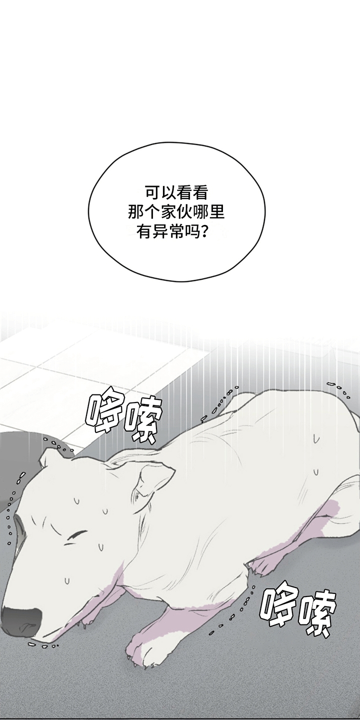 呼吸的记忆 - 斗犬 - 第12页