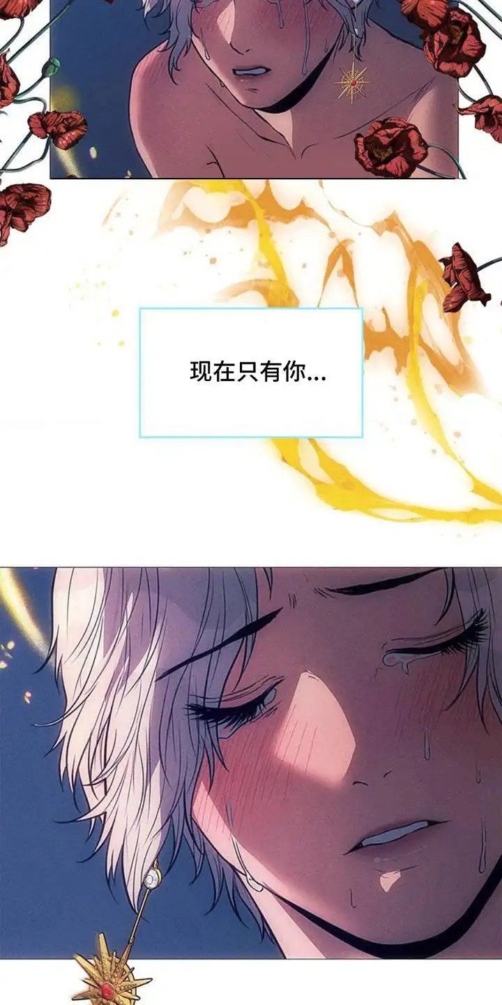 歌剧邪影 - 思念 - 第13页