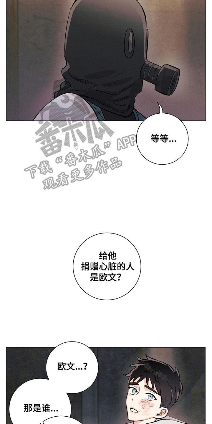 欧文的心脏 - 无关 - 第17页
