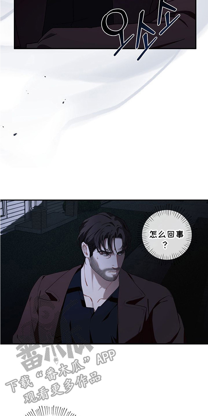 未知领域 - 疑点 - 第15页