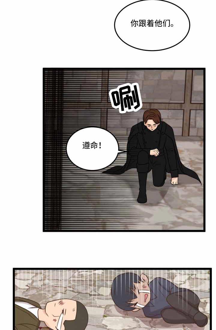 与王子假扮情侣 -   - 第17页