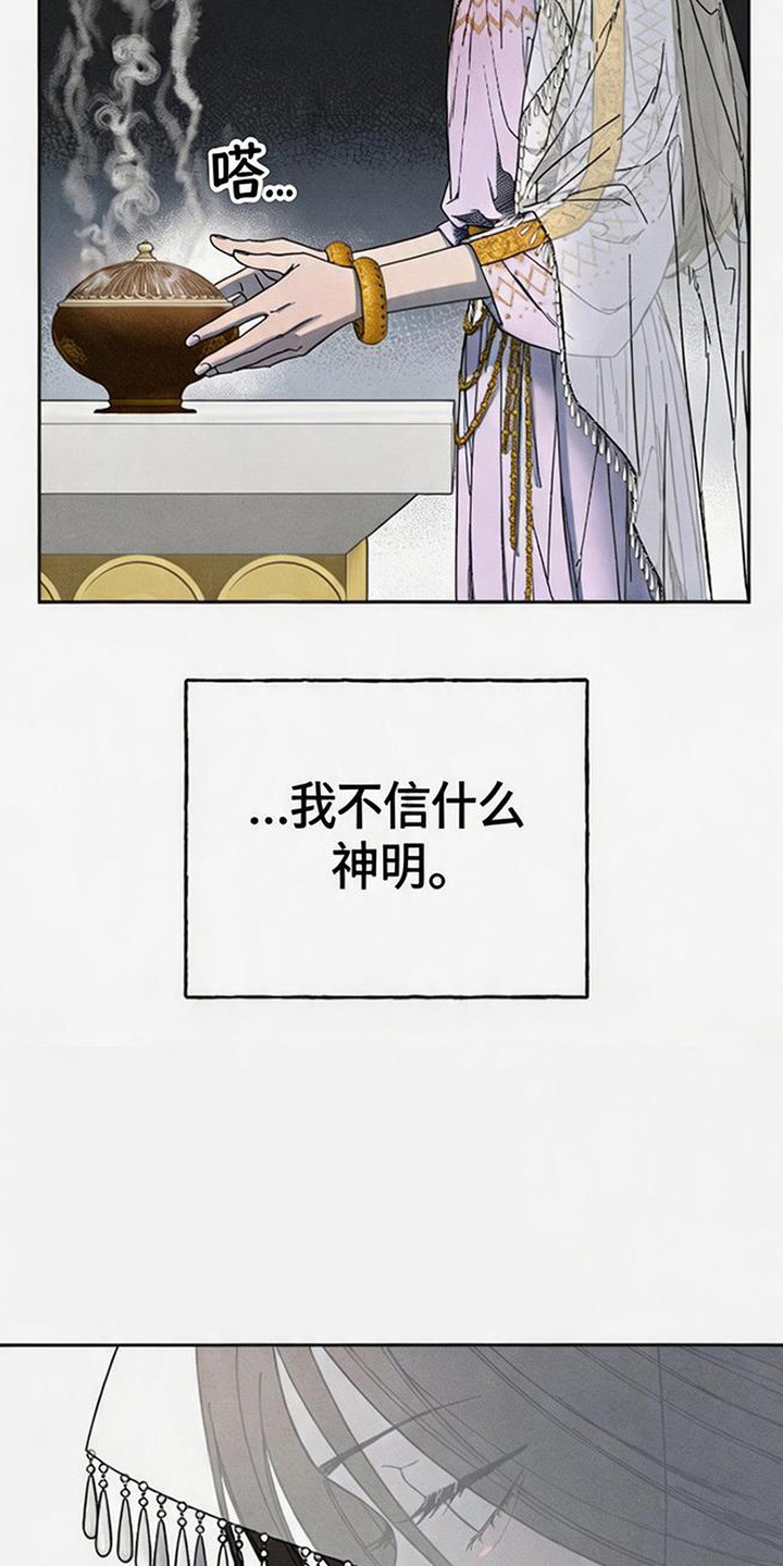 倾城伪妆 - 唯一目标 - 第16页