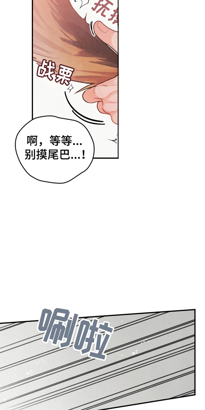狗狗的恋爱 - 小型犬 - 第19页