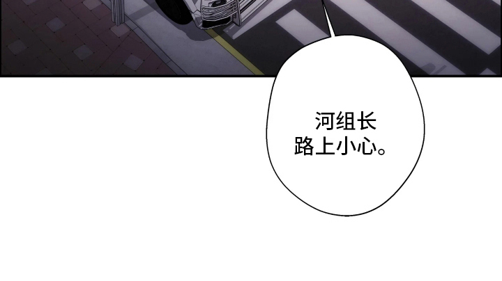 狩猎黑虎 - 真实身份 - 第8页