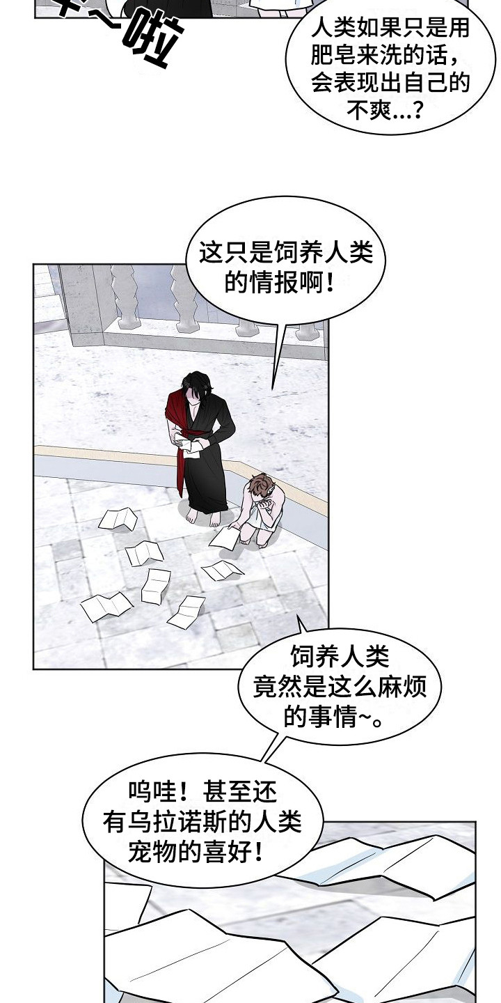 饲养计划 - 喜好 - 第19页