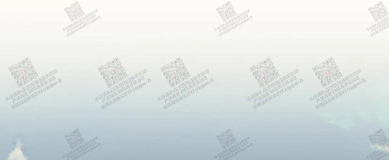 狗和狼的时间 - 逮捕 - 第12页