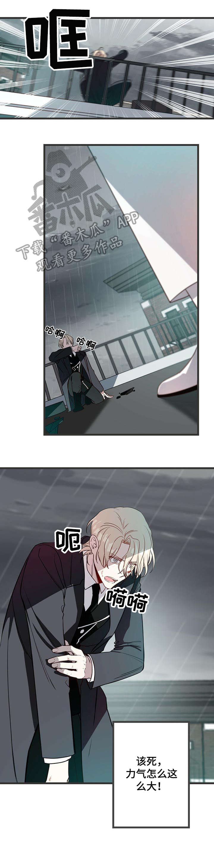 纽约危情 - 烟雾弹 - 第13页