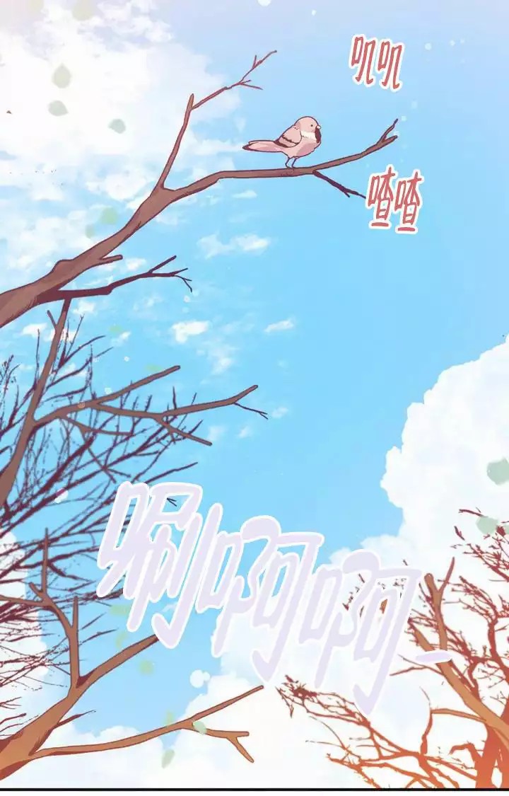童话之兔子少爷 -   - 第18页