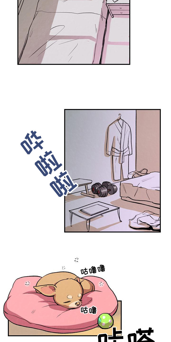 哈尼熊 - 名片 - 第8页