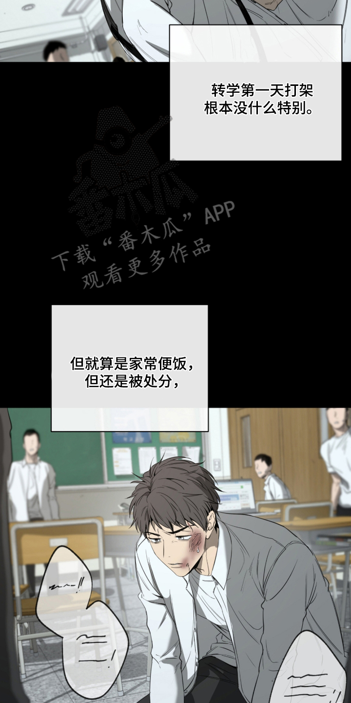 与日共生 - 放手 - 第17页