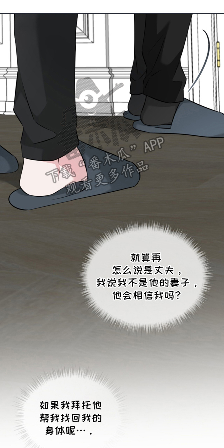 无香的花 - 全是真的吗 - 第19页