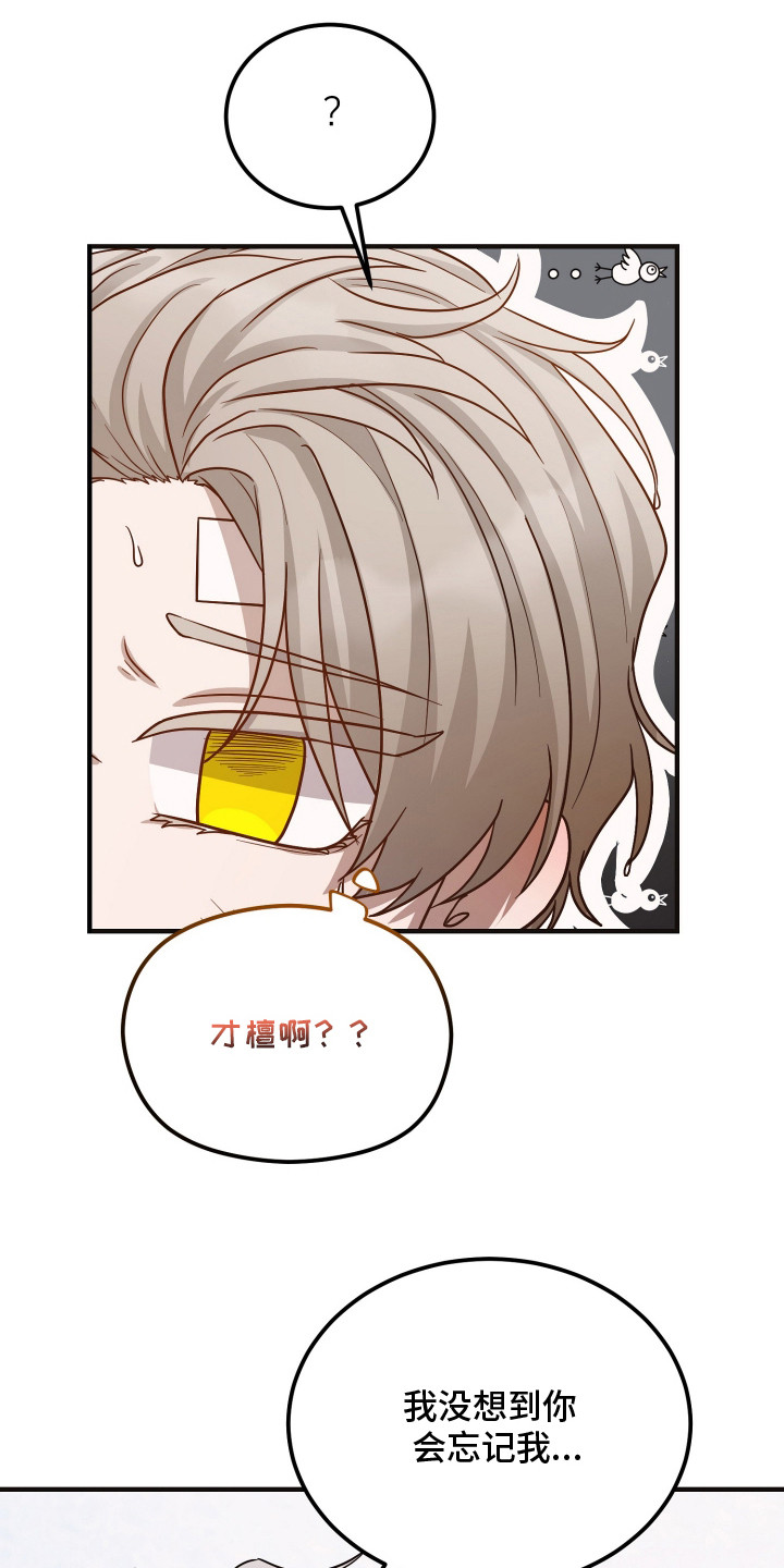 心陷谎言 - 胡说八道 - 第23页