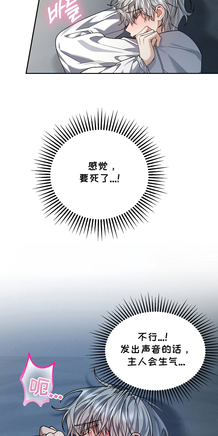 被主人宠爱 - 信息素 - 第20页