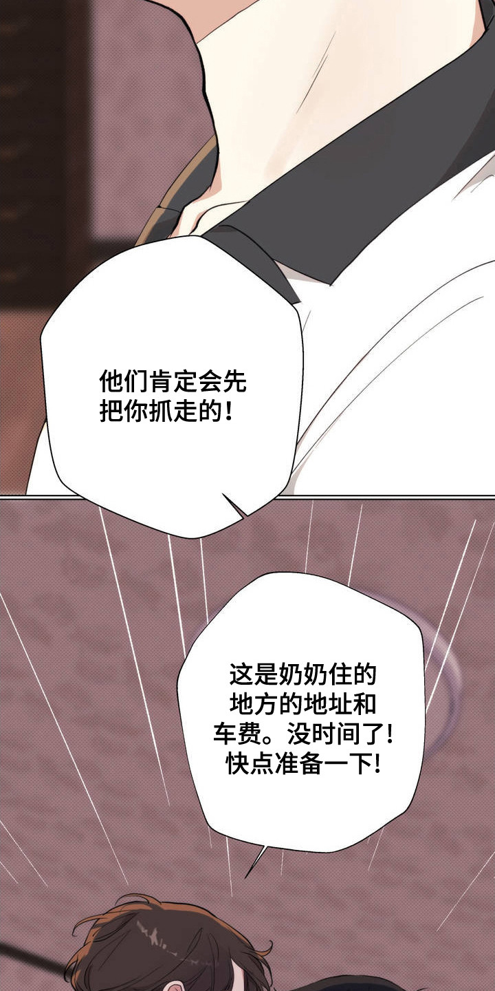 爱情岛 - 高利贷 - 第11页