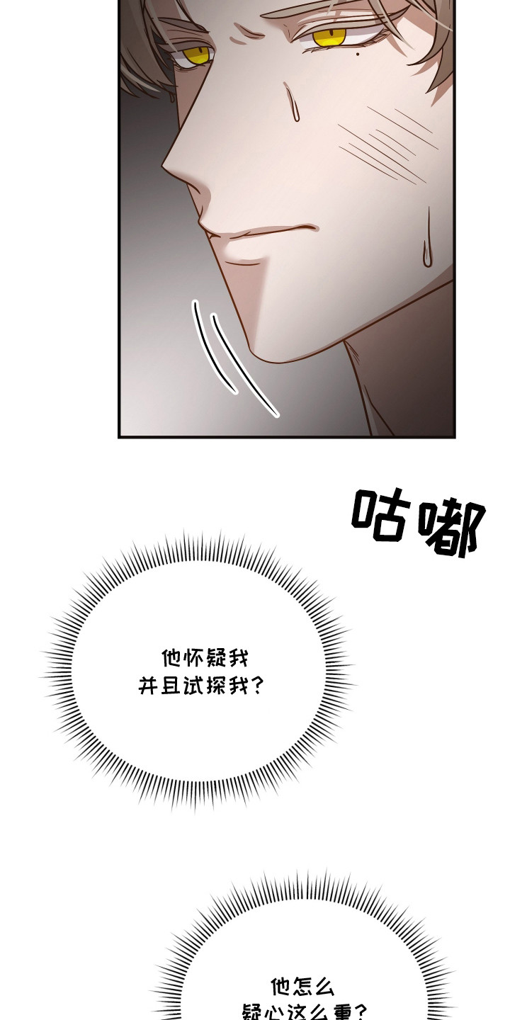 心陷谎言 - 怀疑 - 第5页