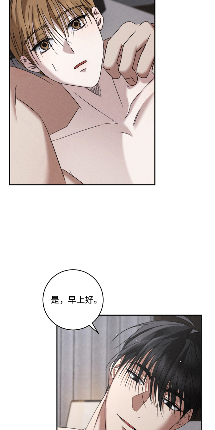 危险的契约 - 梦到的哥哥 - 第12页