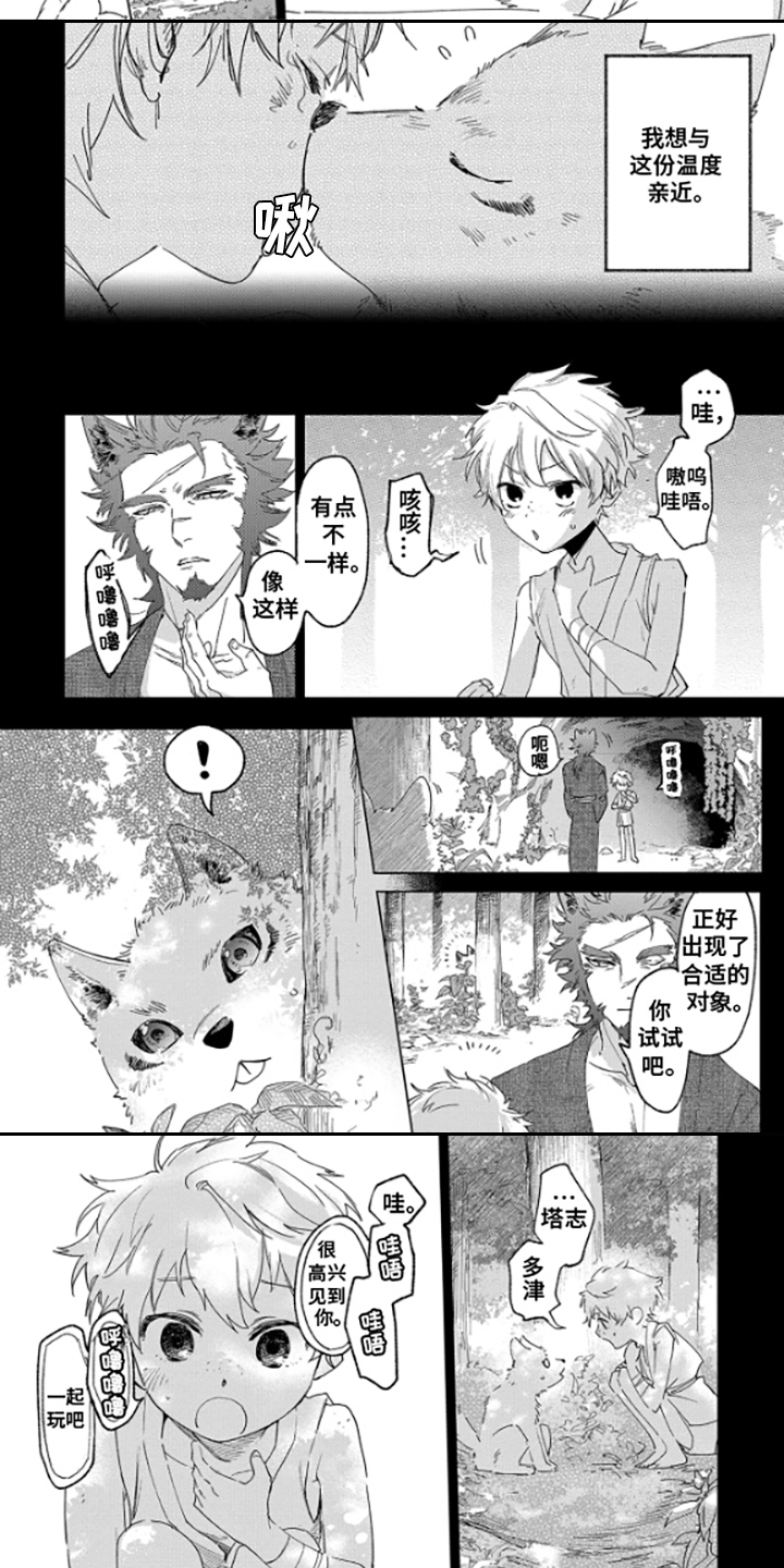 狼群中的少年 - 狼少年 - 第6页