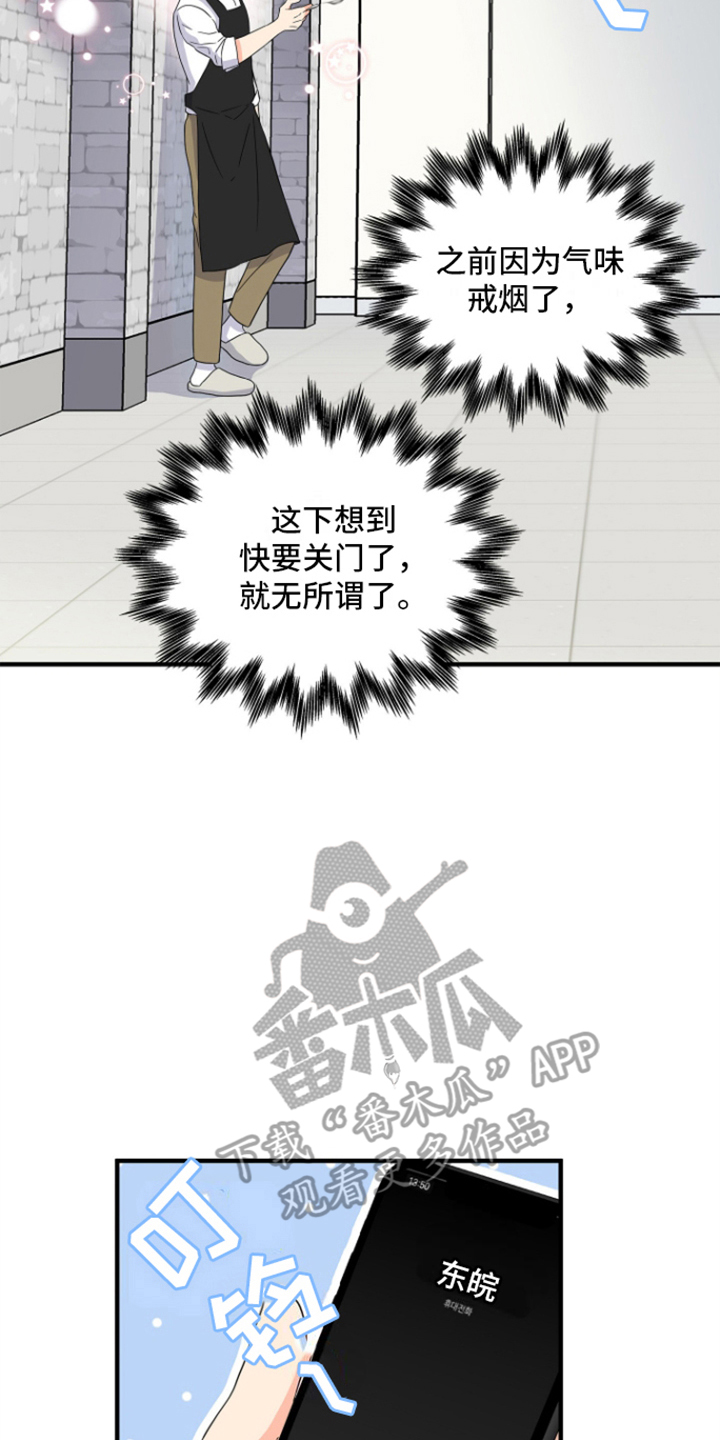 咖啡情缘 - 商讨 - 第13页