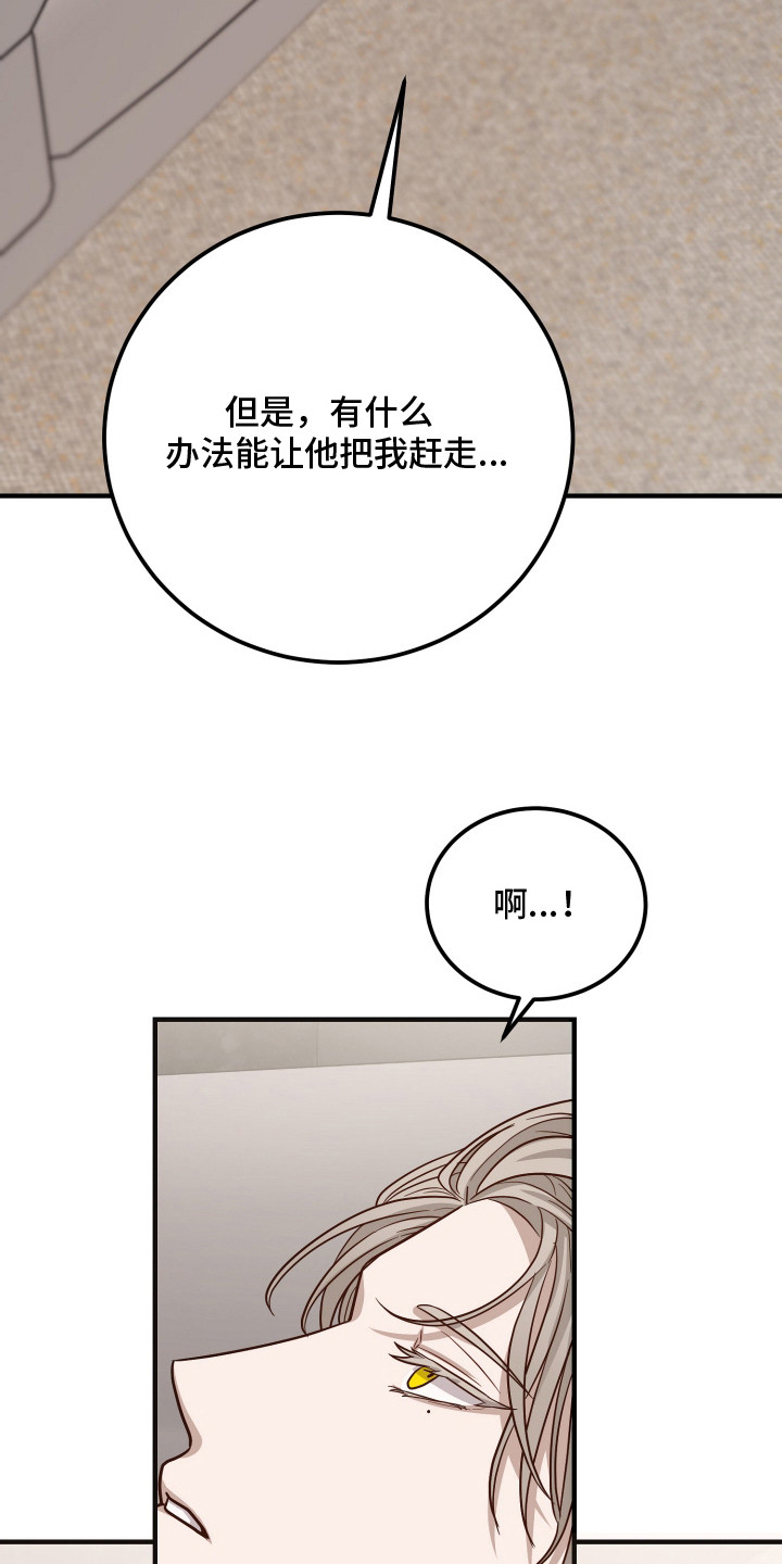 心陷谎言 - 进退两难 - 第32页