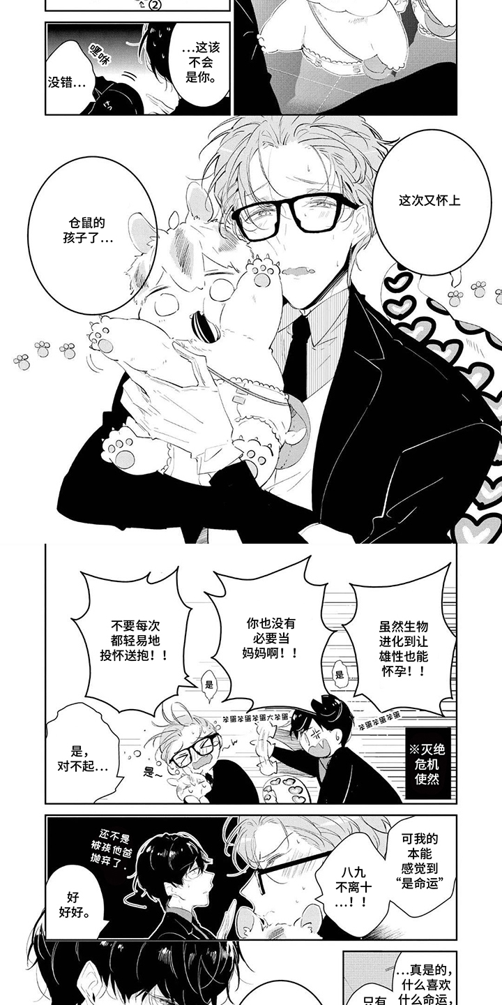狩狼之兔 - 上等货 - 第5页