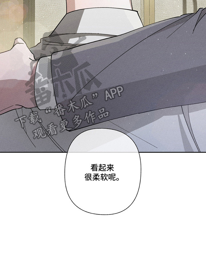特写爱意 - 搭话 - 第21页