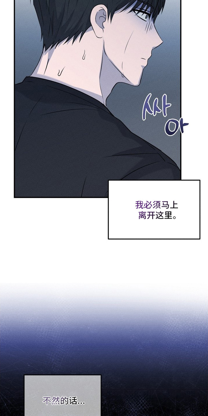 坠落婚途 - 山君 - 第5页