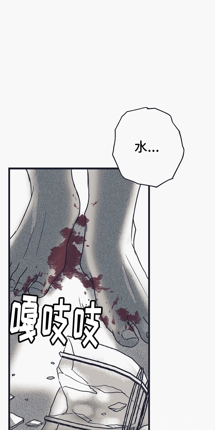 不速之客 - 发狂 - 第27页