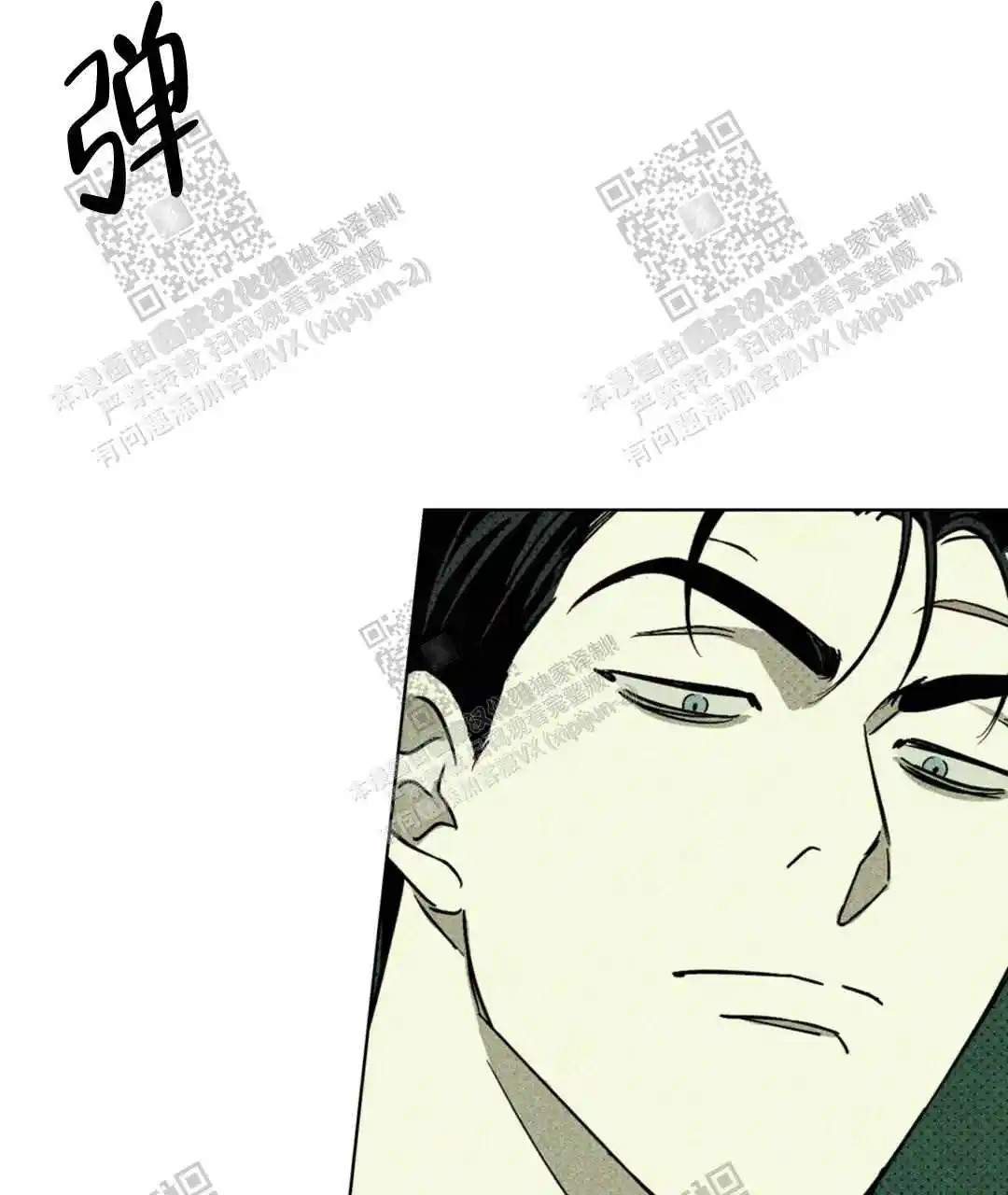 绿色镌像 - 稍微慢点 - 第10页