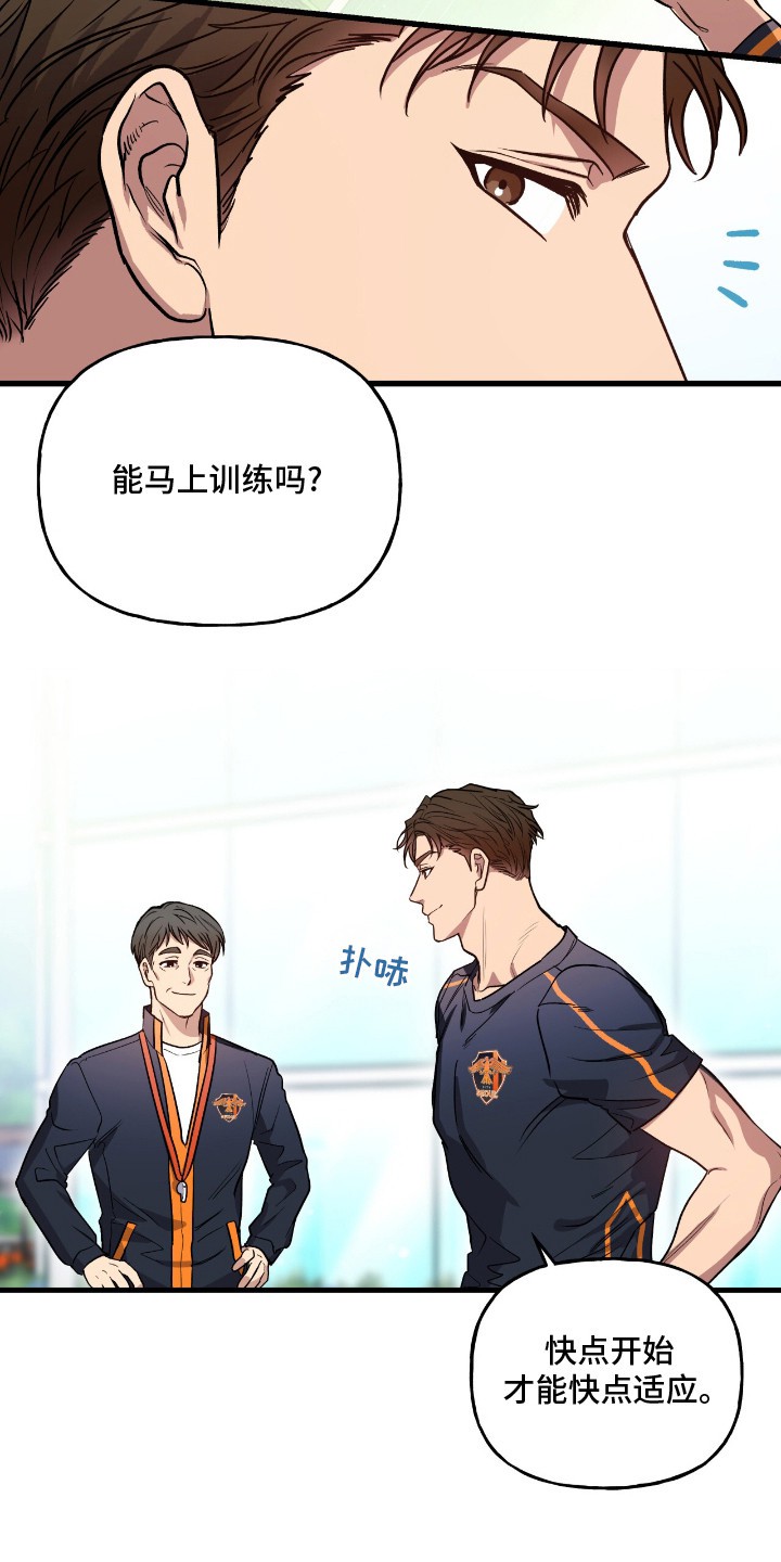 红牌教练 - 明星球员 - 第19页