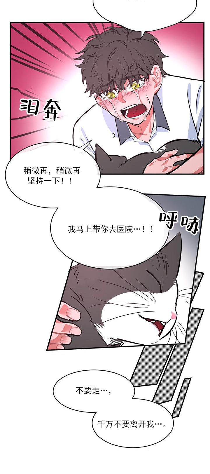 交错的海洋 -   - 第16页