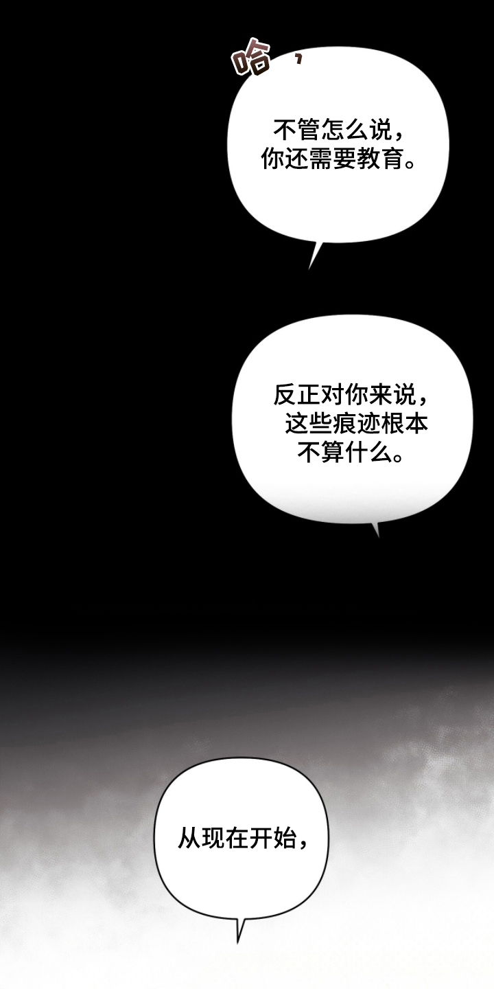主厨的专属食谱 - 开发甜品 - 第21页