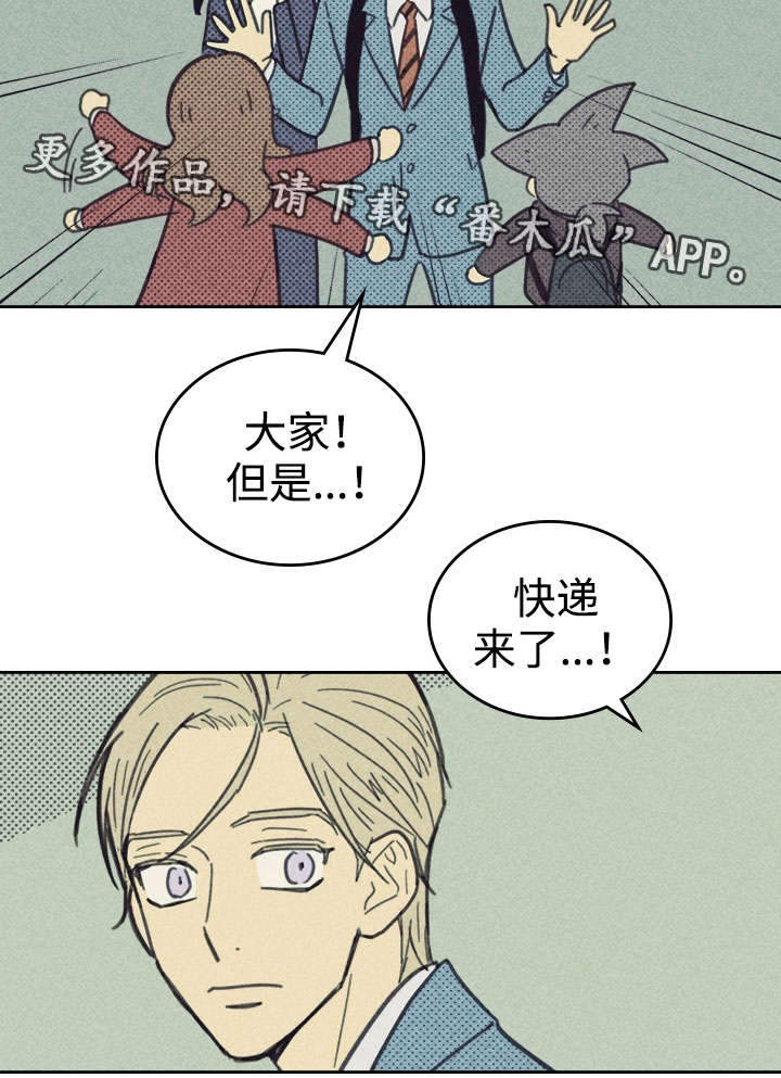 开或关 - 更新装备 - 第8页