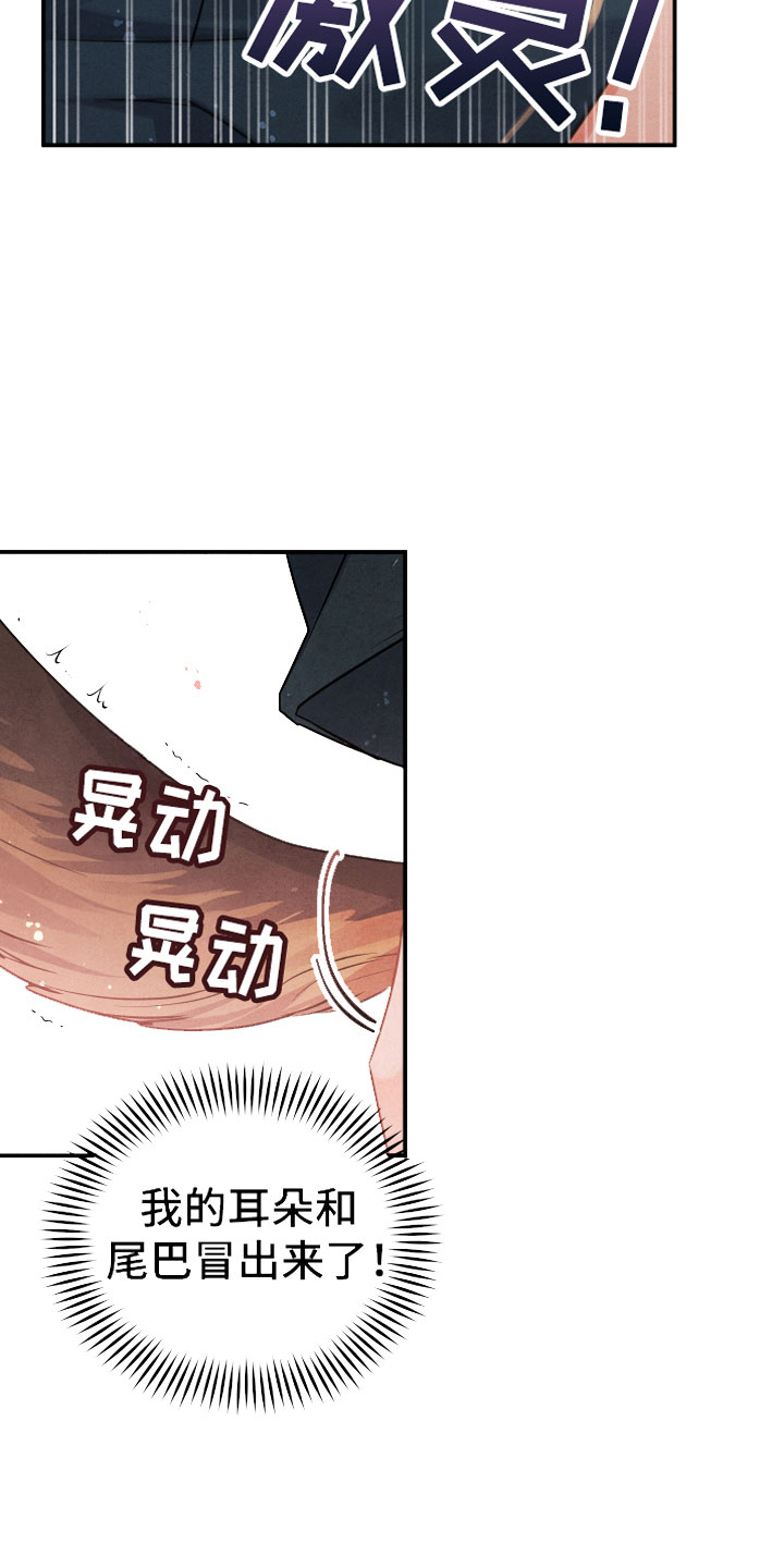 狗狗的恋爱 - 小型犬 - 第17页