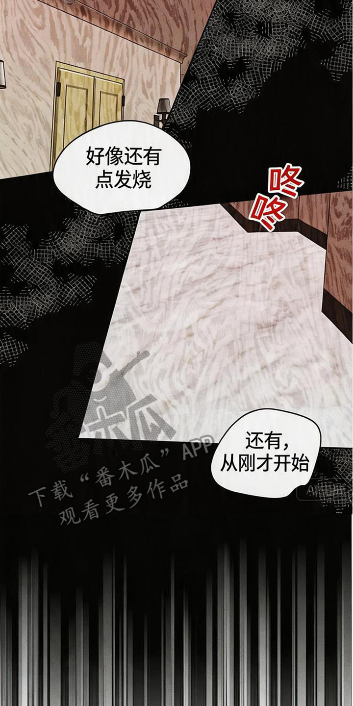 坠落的特技 - 下药 - 第19页