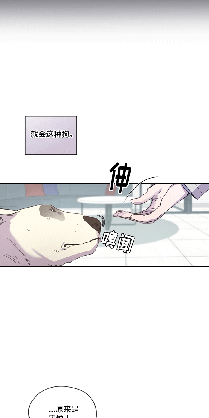 呼吸的记忆 - 受伤 - 第21页