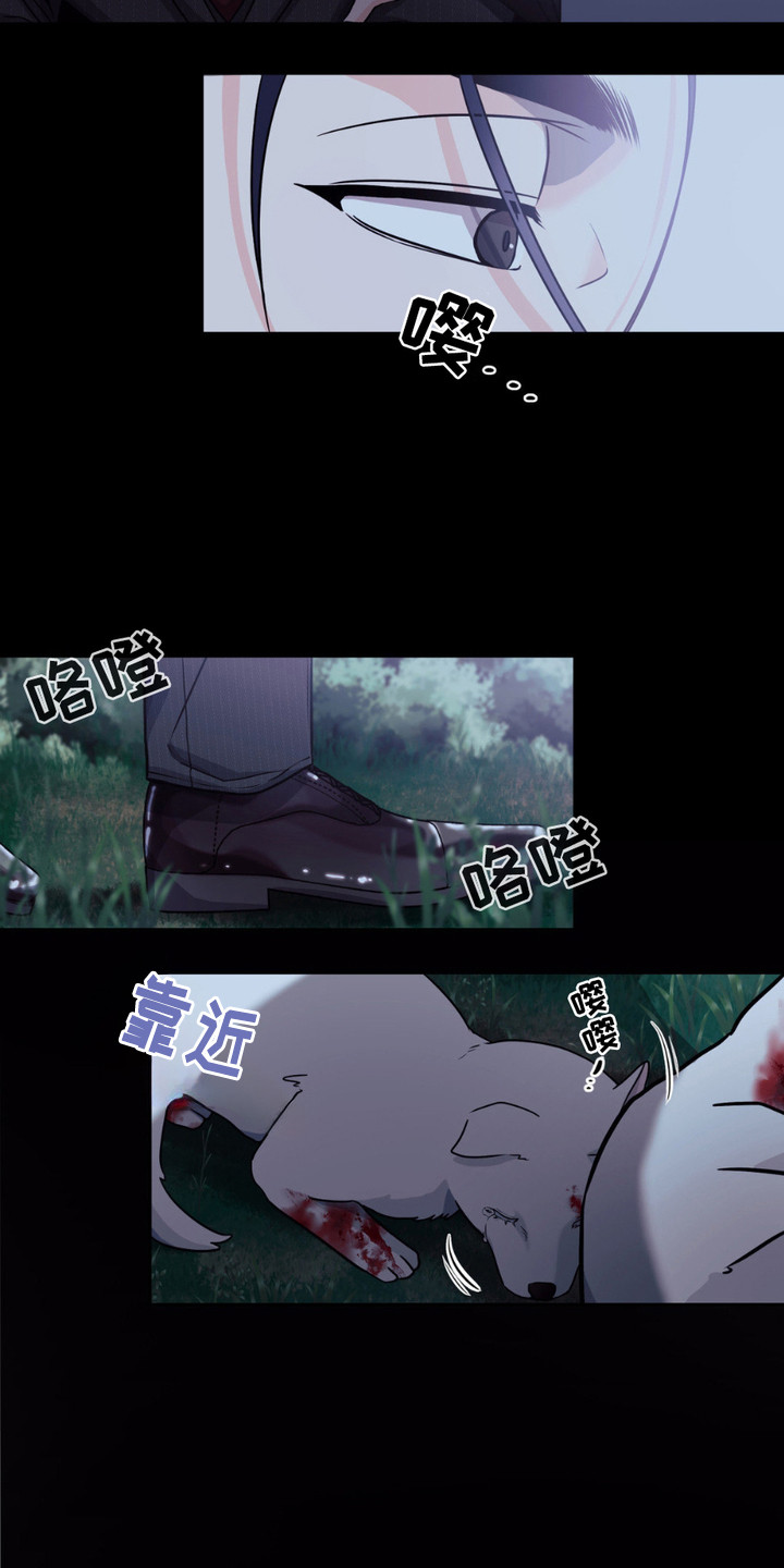 如此可爱的你 - 小狼崽 - 第20页