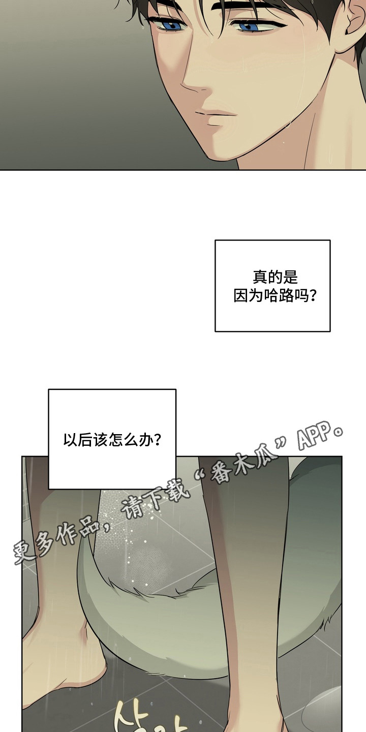 白狐日记 - 不是梦 - 第6页