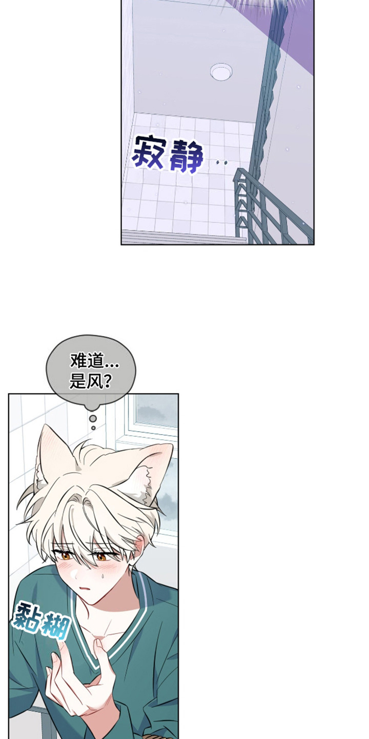 狐狸特饮 - 视线 - 第17页