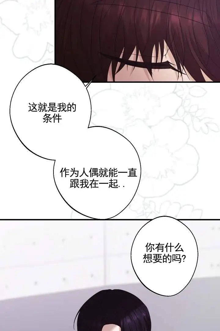 傀儡契约 - 合约成立 - 第29页